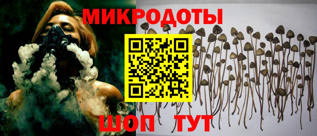 купить  сайты  Галлюциногенные грибы Cubensis  Псилоцибиновые грибы Psilocybe  Вход с VPN  Кулебаки 